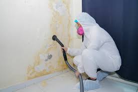  , USA Mold Removal Pros